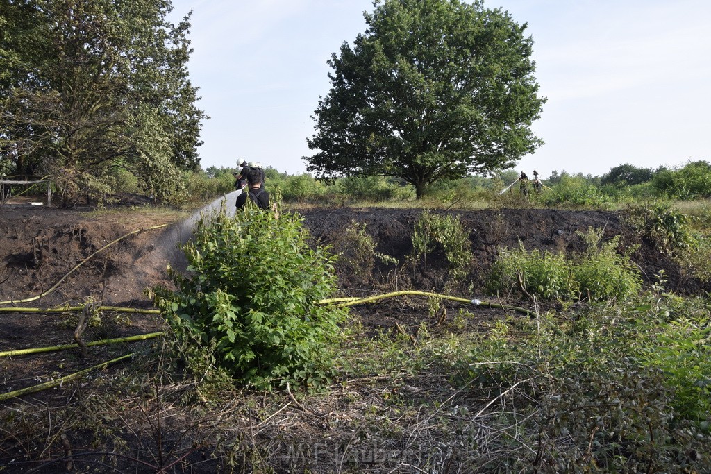 Waldbrand Koeln Hoehenhaus Hoehenfelder Mauspfad P114.JPG - Miklos Laubert